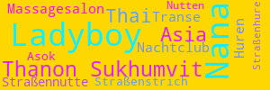 ladyboy sex bangkok transen huren sukhumvit